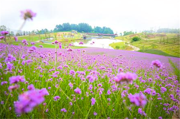 3风景秀丽的横山旅游度假区。记者 陈星宇 摄