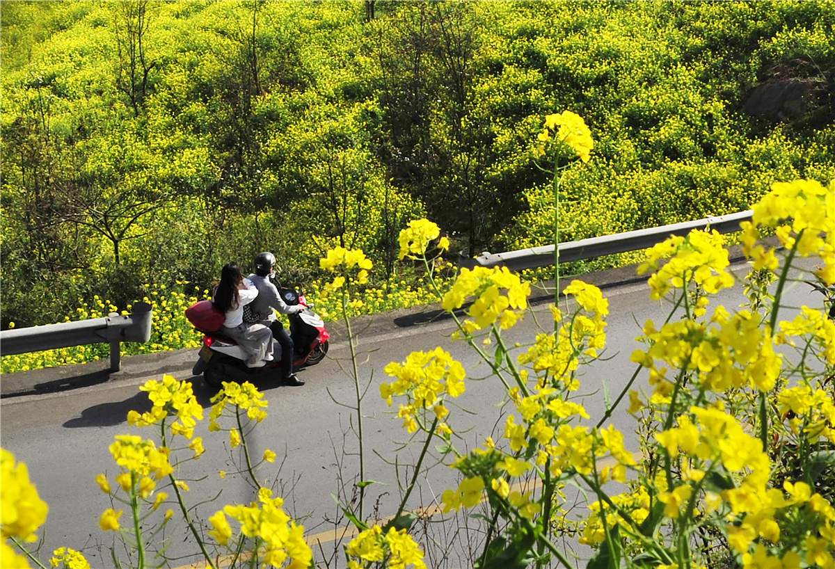 《最美家乡公路》