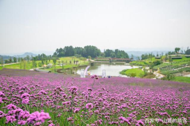 綦江横山花仙谷，避暑赏花两相宜，还是刘德华电影《失孤》取景地