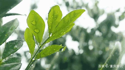 雨后，我走进了横山