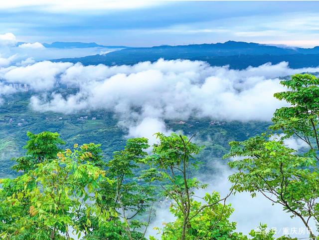 雨后，我走进了横山