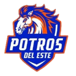 圣马丁足球俱乐部