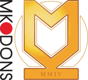 布里斯托尔流浪